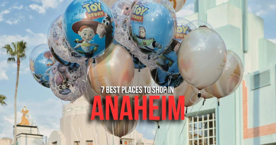 7 Mejores Lugares para Comprar en Anaheim