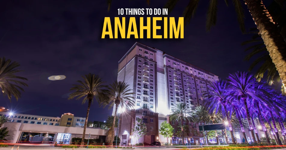 阿纳海姆的10件事