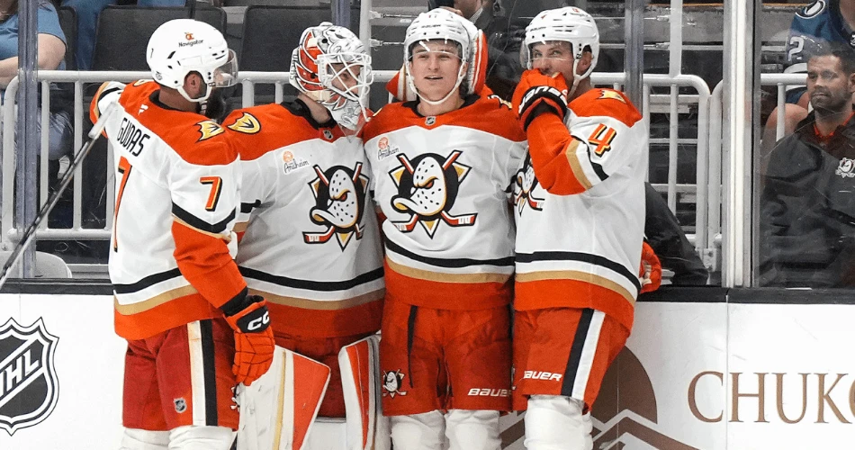 阿纳海姆的10件事