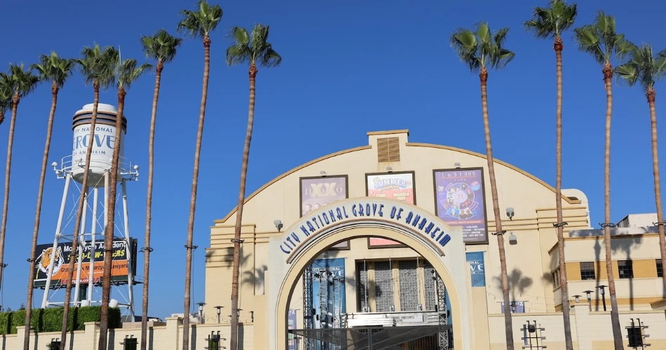 阿纳海姆的10件事