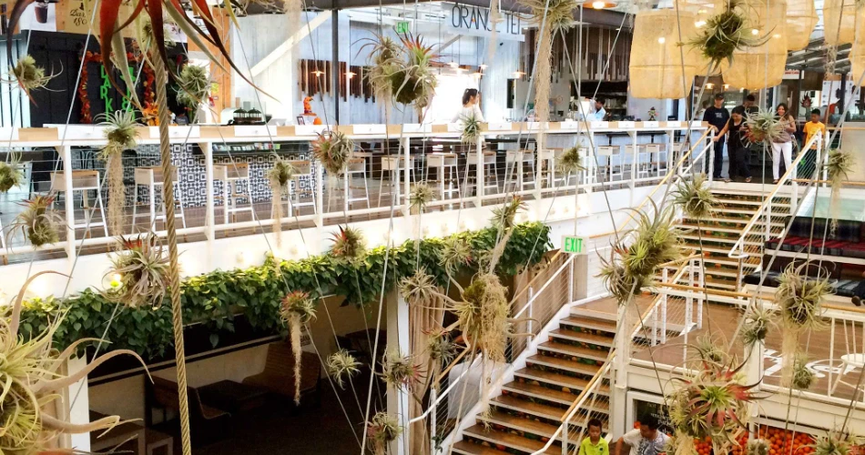 阿纳海姆的10件事