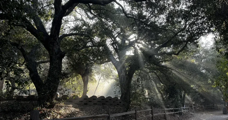 阿纳海姆的10件事